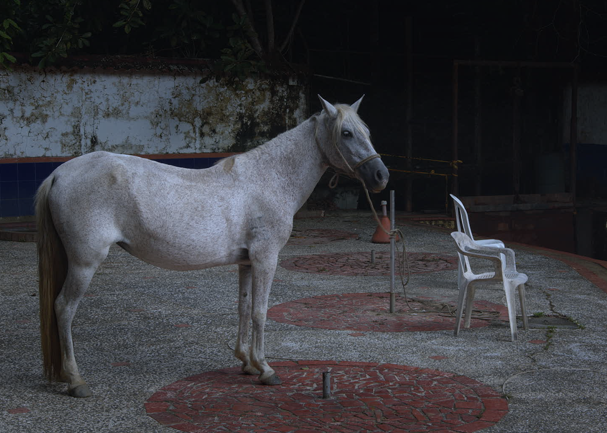 Dos textos sobre Forenses, una pel�cula sobre los desaparecidos en Colombia