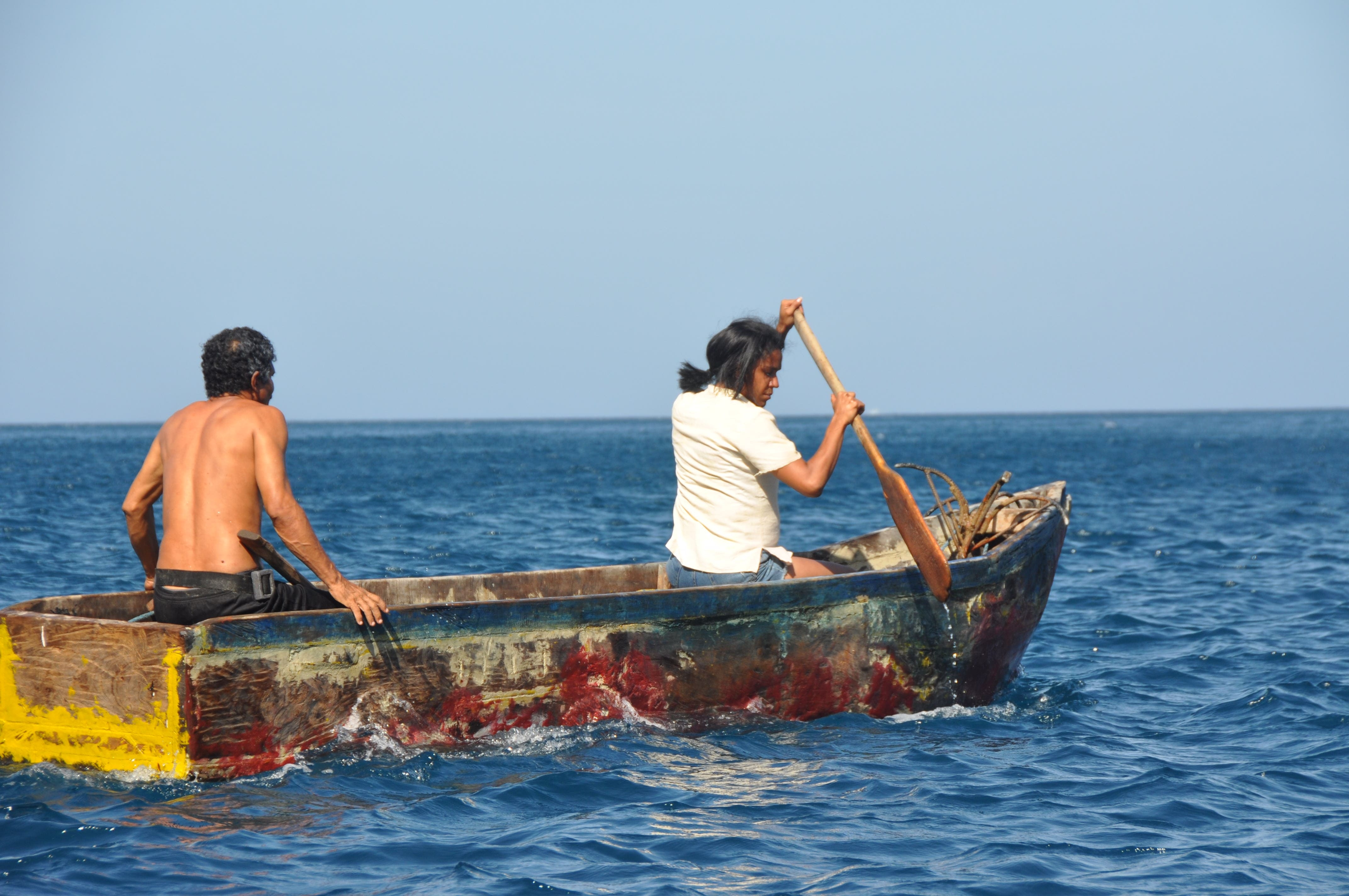 La estrategia del Mero: una historia de amor parental, identidad y reencuentro en el Caribe colombiano