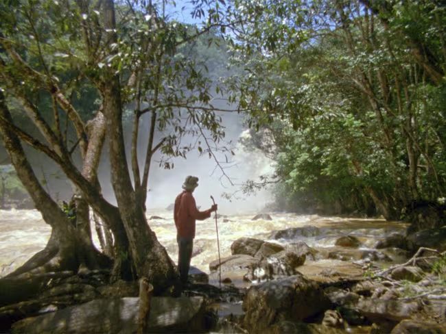 Morichales, un documental sobre la compleja relación entre mineros y su entorno